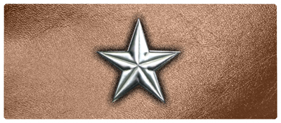 DNSEMP-L-430-SL-BZ Star Silver-Bronze